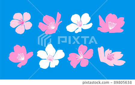 Collection of cherry blossom. Beautiful sakura, vector illustration. Collection of cherry blossom. Beautiful sakura, vector illustration. 89805638