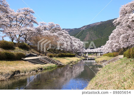 Ayu River的Senbonkakura 89805654