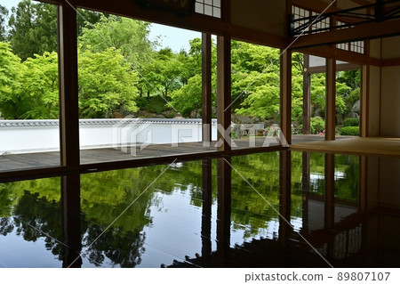 Fresh green floor maple Fresh green floor maple 89807107