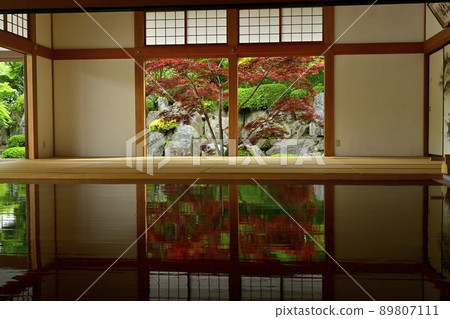 Fresh green (red leaves) floor maple Fresh green (red leaves) floor maple 89807111