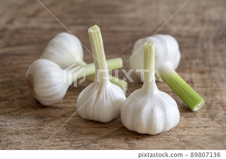 大蒜丁香 89807136