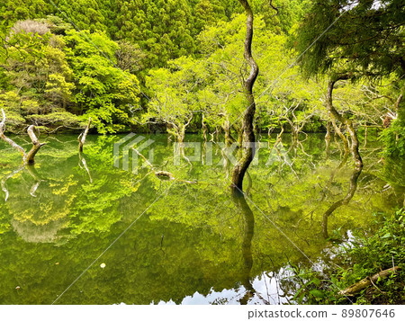 Aerial view of Fudoike in Itoshima City, Fukuoka Prefecture with a drone Aerial view of Fudoike in Itoshima City, Fukuoka Prefecture with a drone 89807646