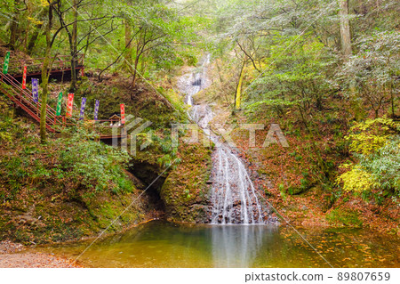 Atera-no-Nanataki Autumn Leaves Autumn Atera-no-Nanataki Autumn Leaves Autumn 89807659