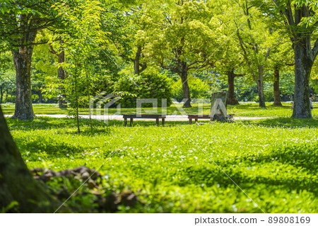 Nishinomaru Garden Bench (early summer 2022) 89808169