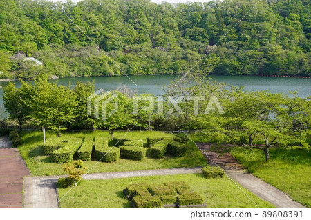 Scenery of Dam Lakeside Park (Tarumizu Dam, Natori City, Miyagi Prefecture) 89808391
