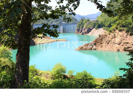 透過樹木看到的藍色湖泊 89808507