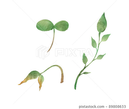 各種發芽的葉子手繪水彩 各種發芽的葉子手繪水彩 89808633