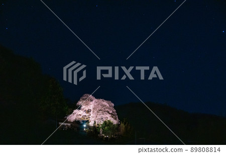 Starry sky and Hinoshita Ed Higanzakura lit up Kimino-cho, Kaiso-gun, Wakayama Prefecture Starry sky and Hinoshita Ed Higanzakura lit up Kimino-cho, Kaiso-gun, Wakayama Prefecture 89808814