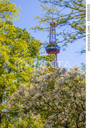 Sapporo Odori Park Lilac Lira Sapporo Odori Park Lilac Lira 89808930