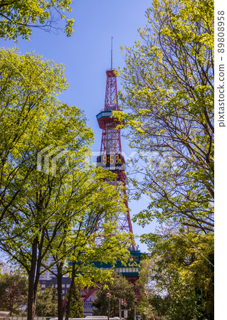 Sapporo Odori Park Lilac Lira 89808958