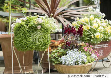 園藝花盆群植 園藝花盆群植 89809470