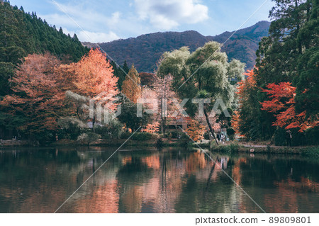 Kinrin Lake Oita Autumn 89809801