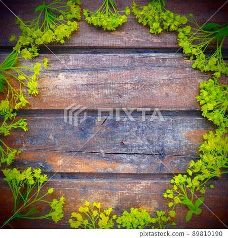Background of dark horizontal wooden planks framed with green maple flowers. Twigs, leaves and flowers are laid out around copy space. Postcard or blank for design. Brown wood and green freshness. 89810190