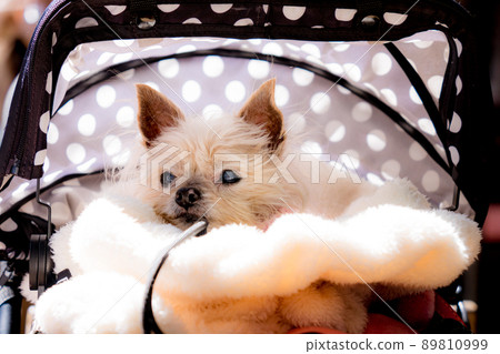 Funny Pictures 89810999