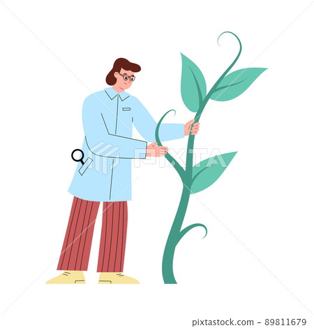 Agronomist with a plant, vector flat illustration on a white background. Agronomist with a plant, vector flat illustration on a white background. 89811679
