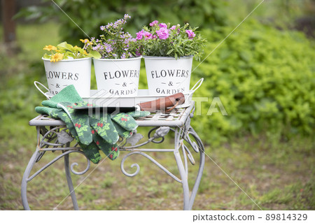 將花盆放在花架上裝飾花朵 89814329