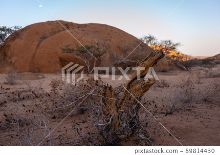 The Spitzkoppe area around sunset 89814430