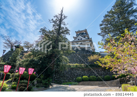 Kochi City, Kochi Prefecture Kochi Castle castle tower and spring bonbori 89814445