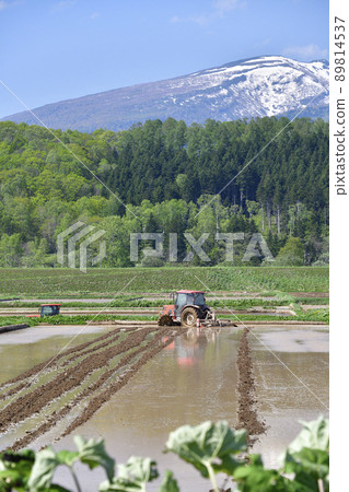 初夏在北海道蘭越町拍攝新雪谷山脈與稻田和殘雪的風景 89814537