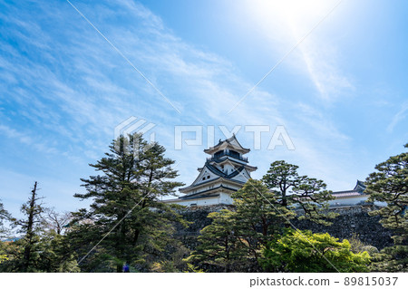 Kochi City, Kochi Prefecture The tower of Kochi Castle towering majestically 89815037