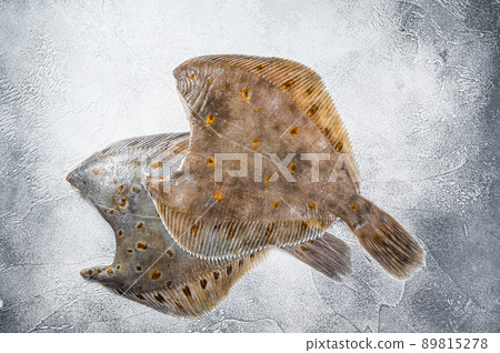 Raw whole flounder flatfish fish on kitchen table. White background. Top view Raw whole flounder flatfish fish on kitchen table. White background. Top view 89815278