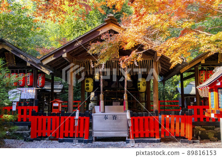 Nonomiya Shrine Arashiyama Autumn Leaves Nonomiya Shrine Arashiyama Autumn Leaves 89816153