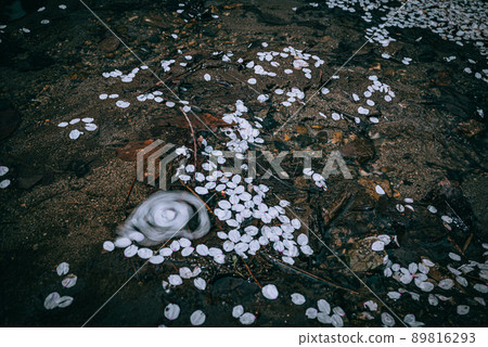 Cherry blossom petals that have fallen to the surface of the water [slow shutter] 89816293