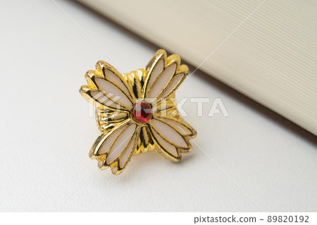 檢察官徽章圖片 檢察官徽章圖片 89820192