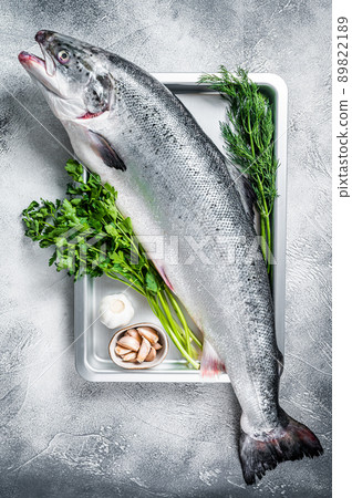 Raw uncooked sea salmon whole fish in a tray with herbs. White background. Top view 89822189