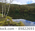 移動到池塘的天空，改變角度，Mishakaike Pond 89822693