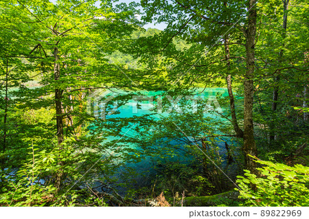 克羅地亞十六湖國家公園原始森林和翡翠綠湖 克羅地亞十六湖國家公園原始森林和翡翠綠湖 89822969