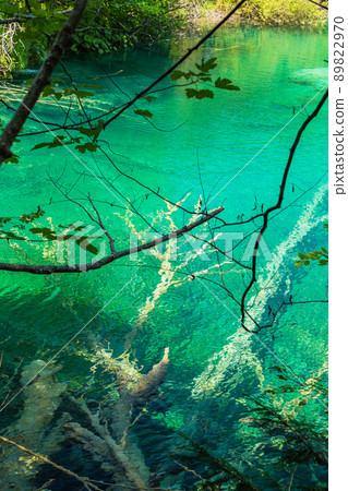 克羅地亞十六湖國家公園原始森林和翡翠綠湖 克羅地亞十六湖國家公園原始森林和翡翠綠湖 89822970