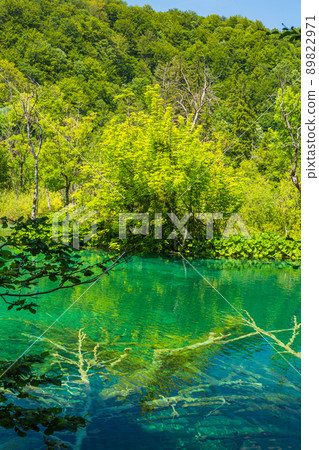 Croatian Plitvice Lakes National Park virgin forest and emerald green lake Croatian Plitvice Lakes National Park virgin forest and emerald green lake 89822971