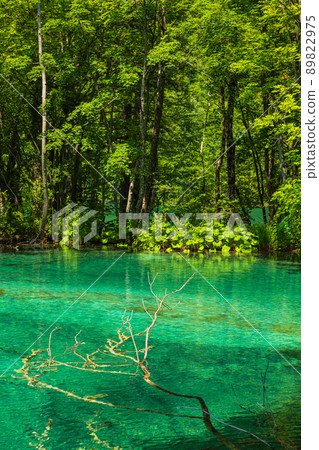 克羅地亞十六湖國家公園清澈的翠綠色湖泊 克羅地亞十六湖國家公園清澈的翠綠色湖泊 89822975