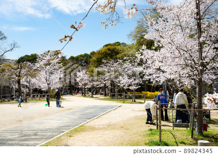 它是羊山公園內的五島電廣場。櫻花盛開,是時候去看櫻花了。請有明亮的氣氛。廣島縣 它是羊山公園內的五島電廣場。櫻花盛開,是時候去看櫻花了。請有明亮的氣氛。廣島縣 89824345