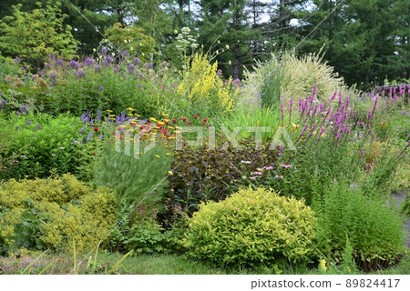 夏季北海道庭園道路式庭園 89824417