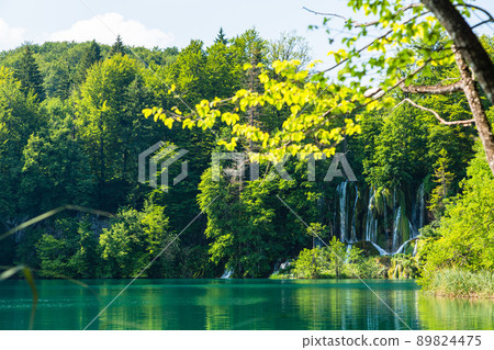 克羅地亞十六湖國家公園的翡翠綠湖和瀑布 克羅地亞十六湖國家公園的翡翠綠湖和瀑布 89824475