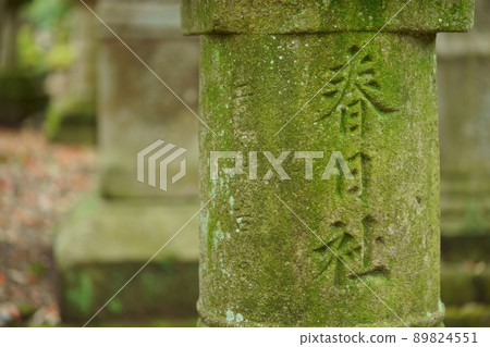 Nara Kasuga Taisha Shrine, mossy stone lantern 89824551