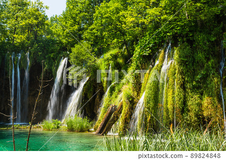 Primitive forests and waterfalls in the Plitvice Lakes National Park, Croatia 89824848