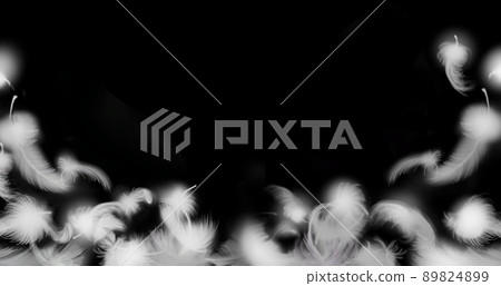 White feather illustration and black background of fluffy angel White feather illustration and black background of fluffy angel 89824899