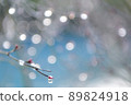 On the morning of the rain 89824918