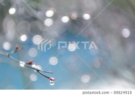 在下雨的早晨 在下雨的早晨 89824918