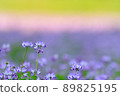 Trio colors 89825195