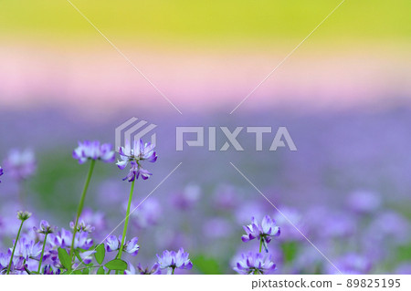 Trio colors Trio colors 89825195