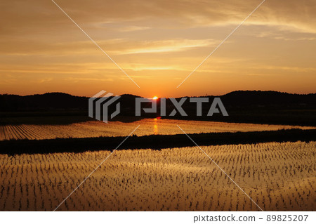 Setting sun Setting sun 89825207