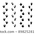 Set of Dinosaur footprint vector icon 89825281