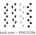 Set of Dinosaur footprint 89825284