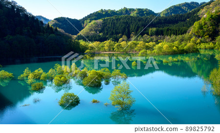 Superb view of early spring, submerged forest of Lake Shusen, Akita Prefecture 89825792
