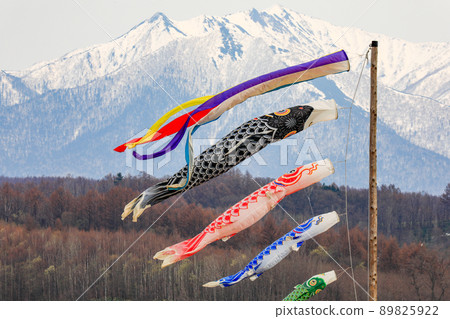 [北海道上富良野町] 十勝岳聯邦和殘雪鯉魚旗 89825922