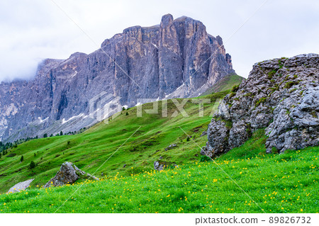 Beautiful landscape of Dolomite Mountain with the hill of green grass and yellow flowers. Beautiful landscape of Dolomite Mountain with the hill of green grass and yellow flowers. 89826732